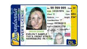 license Restoration Services